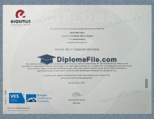 布鲁塞尔伊拉斯谟高等学院学位, Erasmushogeschool Brussel Degree