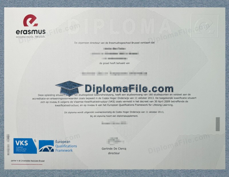 布鲁塞尔伊拉斯谟高等学院学位, Erasmushogeschool Brussel Degree