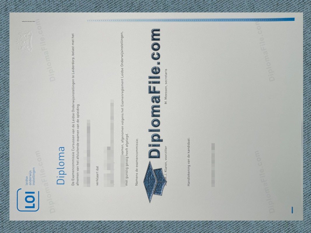 莱顿教育机构文凭, Leidse Onderwijs instellingen Diploma