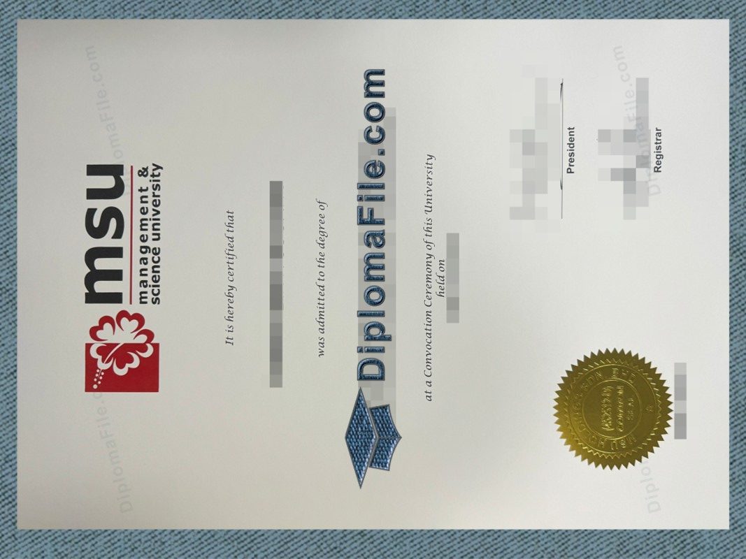 马来西亚管理与科学大学文凭, MSU Malaysia Diploma